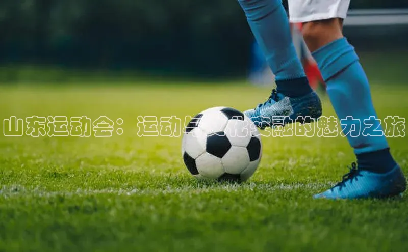 山东运动会：运动与文化交融的魅力之旅