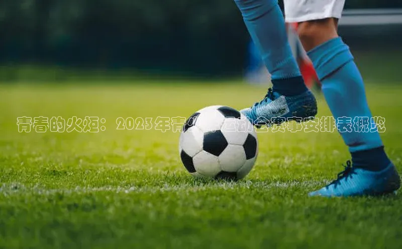 青春的火炬：2023年青少年运动会赛事安排表概览