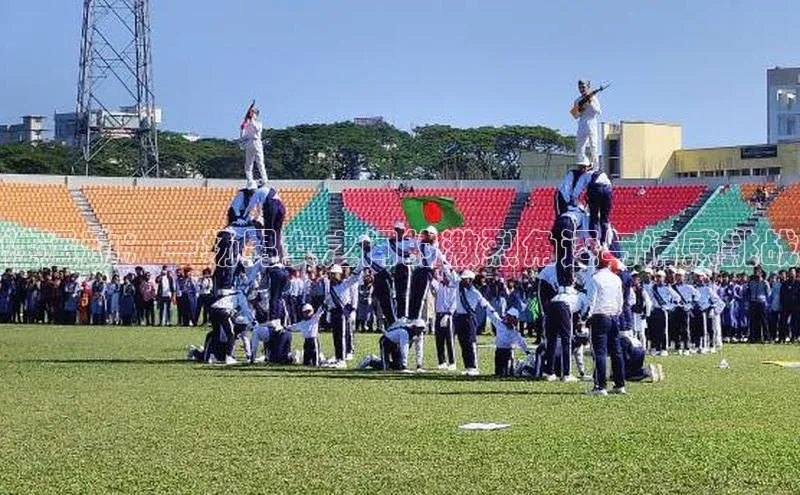 性运动：一场男女之间的激烈角逐与情感挑战